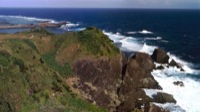 Whale Point